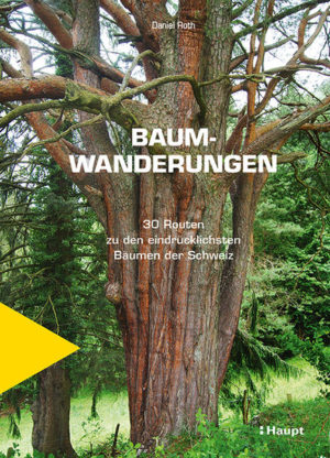 Honighäuschen (Bonn) - 30 Wandervorschläge zu natur- und kulturgeschichtlich interessanten Bäumen der Schweiz. Bäume, die eine bemerkenswerte Geschichte erzählen: vom Urwald von Tamangur bis zur "Gsägneti Eich" von Sissach. Mit Hintergrundinformationen, Karten und genauen Wegbeschreibungen. Mächtige, alte Bäume gibt es vielerorts in der Schweiz
