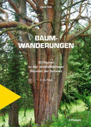 Bereits nach kurzer Zeit in 2. Auflage. 30 Wandervorschläge zu natur- und kulturgeschichtlich interessanten Bäumen der Schweiz. Mächtige, alte Bäume gibt es vielerorts in der Schweiz