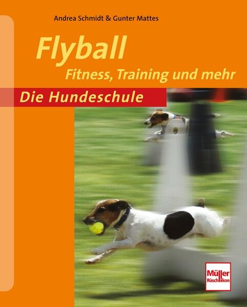 Honighäuschen (Bonn) - Flyball ist ein »Mannschaftssport«