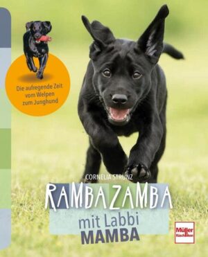 Honighäuschen (Bonn) - In diesem Welpen-Buch hat die schwarze Labradorhündin Mamba das Sagen: Mambas Hundeleben ist aufregend, spannend und heiter. Klein, schwarz, frech, neugierig und mit viel Spaß dabei - so erleben wir sie hier. Anhand lustiger Geschichten und toller Fotos lässt sie uns an ihren ersten beiden Lebensjahren teilhaben, mitfühlen, mitlernen und schmunzeln. Aber nicht nur Mamba meldet sich zu Wort: Autorin und Hundetrainerin Cornelia Strunz erklärt das Verhalten ihres Hundes und erläutert dem Leser, auf was er bei der Erziehung seines Welpen achten muss. Mal ein ganz anderes Buch über das Welpenalter bis zum Junghund!