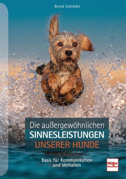 Honighäuschen (Bonn) - Sehen, Hören, Riechen, Schmecken, Tasten - die "Big Five" verbinden beim Hund wie beim Menschen den Organismus mit der Umwelt. Die Sinnesorgane als Informationsempfänger sind es, die es dem Hund erst ermöglichen, mittels seiner überragenden kognitiven Fähigkeiten in eine sinnvolle Kommunikation mit der Umwelt einzutreten. Prof. Dr. rer. nat. Bernd Schröder nimmt den Leser mit in die wunderbare Welt der Hundesinne und beschreibt die jeweilige Beteiligung des Nervensystems an der Körperreaktion. Die Informationen beleuchten auf biologischer Grundlage die Möglichkeiten, aber auch Grenzen der Hundesinne.