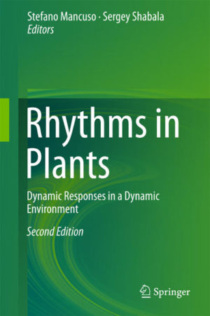 Honighäuschen (Bonn) - This second edition of a well-received book focuses on rhythmic behaviour in plants, which regulates all developmental and adaptive responses and can thus be regarded as quintessential to life itself. The chapters provide a timely update on recent advances in this field and comprehensively summarize the current state of knowledge concerning the molecular and physiological mechanisms behind circadian and ultradian oscillations in plants, their physiological implications for growth and development and adaptive responses to a dynamic environment. Written by a diverse group of leading researchers, the book will spark the interest of readers from many branches of science: from physicists and chemists wishing to learn about the multi-faceted rhythms in plants, to biologists and ecologists involved in the state-of-the-art modelling of complex rhythmic phenomena.