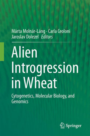 Honighäuschen (Bonn) - This book provides an overview of the latest advancements in the field of alien introgression in wheat. The discovery and wide application of molecular genetic techniques including molecular markers, in situ hybridization, and genomics has led to a surge in interspecific and intergeneric hybridization in recent decades. The work begins with the taxonomy of cereals, especially of those species which are potential gene sources for wheat improvement. The text then goes on to cover the origin of wheat, breeding in connection with alien introgressions, and the problems of producing intergeneric hybrids and backcross derivatives. These problems can include crossability, sterility, and unequal chromosome transmission. The work then covers alien introgressions according to the related species used, as well as new results in the field of genomics of wild wheat relatives and introgressions.