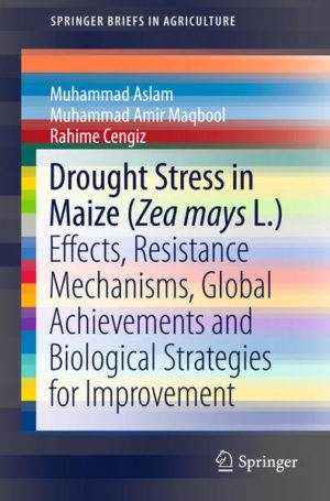 Honighäuschen (Bonn) - This book focuses on early germination, one of maize germplasm most important strategies for adapting to drought-induced stress. Some genotypes have the ability to adapt by either reducing water losses or by increasing water uptake. Drought tolerance is also an adaptive strategy that enables crop plants to maintain their normal physiological processes and deliver higher economical yield despite drought stress. Several processes are involved in conferring drought tolerance in maize: the accumulation of osmolytes or antioxidants, plant growth regulators, stress proteins and water channel proteins, transcription factors and signal transduction pathways. Drought is one of the most detrimental forms of abiotic stress around the world and seriously limits the productivity of agricultural crops. Maize, one of the leading cereal crops in the world, is sensitive to drought stress. Maize harvests are affected by drought stress at different growth stages in different regions. Numerous events in the life of maize crops can be affected by drought stress: germination potential, seedling growth, seedling stand establishment, overall growth and development, pollen and silk development, anthesis silking interval, pollination, and embryo, endosperm and kernel development. Though every maize genotype has the ability to avoid or withstand drought stress, there is a concrete need to improve the level of adaptability to drought stress to address the global issue of food security. The most common biological strategies for improving drought stress resistance include screening available maize germplasm for drought tolerance, conventional breeding strategies, and marker-assisted and genomic-assisted breeding and development of transgenic maize. As a comprehensive understanding of the effects of drought stress, adaptive strategies and potential breeding tools is the prerequisite for any sound breeding plan, this brief addresses these aspects.