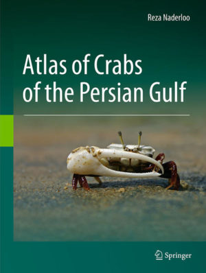 Honighäuschen (Bonn) - This illustrated atlas describes 256 extant brachyuran crab species in the Persian Gulf and the Gulf of Oman. Identification keys are provided for 37 brachyuran families, 144 genera and 256 species on the basis of their main synapomorphies. Brief but precise descriptions highlighting the main characteristics are also provided for every family. The atlas displays features high-quality color photos, offering a hands-on guide and equipping readers to readily diagnose crab species in the region. Importantly, a line drawing of the first male gonopod, as well as its main diagnostic characteristics, are provided for all species. Further, every species is supplemented with synonymies that encompass the original descriptions, overall revision of the given taxa, monographs and all records from the northwestern Indian Ocean including the Persian Gulf and the Gulf of Oman. For each species, the book provides detailed local and global distribution maps, together with important ecological data including habitat preference. Further, it includes a general introduction to the brachyuran crabs with schematic drawings of their external morphology, as well as a comprehensive introduction to the Persian Gulf and the Gulf of Oman as marine ecoregions (geography, hydrology, biology, and environmental condition). The book offers an indispensable guide for all professionals, researchers, and students interested in brachyuran crabs around the globe and particularly in the Persian Gulf and the Gulf of Oman.