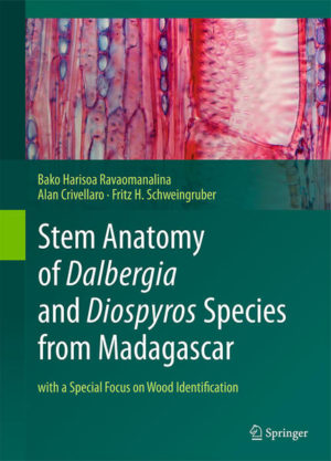 Honighäuschen (Bonn) - This atlas offers anatomical descriptions of 19 Dalbergia and 31 Diospyros species, most of them endemic to Madagascar. Each species is illustrated with color micrographs of double-stained sections through the xylem, bark, and pith of stems, branches, and twigs. Further, a photograph of each plant and information on its height, DBH, habit, and geographical and elevational distribution in Madagascar are included. Dalbergia and Diospyros species provide highly-priced woods, which are intensively traded across the world and therefore highly endangered by illegal trade and harvesting. This book represents a response to the action plan for Diospyros and Dalbergia species regarding the establishment of a reference collection and reliable identification system for species listed by CITES, the Convention on International Trade in Endangered Species of Wild Fauna and Flora. Bringing together a wealth of material recently collected in different biogeographical regions of Madagascar and identified by the Missouri Botanical Garden, the book will appeal to plant scientists, taxonomists and practitioners involved in wood identification, and will help to safeguard the legacy of precious wood trading through proper identification.
