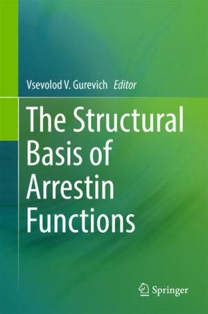 Honighäuschen (Bonn) - This volume summarizes our current understanding of the structural basis of the functions of arrestin family of proteins. Arrestins were first discovered as key players in the desensitization of G protein-coupled receptors (GPCRs). Recent studies showed that arrestins are important signal transducers in their own right, organizing multi-protein complexes and scaffolding numerous signaling cascades that regulate cell proliferation, differentiation, and apoptotic death. Here arrestin functions are described primarily from the structural prospective. The book covers basal structure of arrestin proteins, receptor binding-induced conformational changes in arrestins, as well as the structure of pre-activated mutants. Particular focus is on the arrestin elements interacting with numerous binding partners, GPCRs and cytoplasmic signaling proteins. We expect that this information and insights will help to understand and exploit the phenomenon of signaling bias, which is a new promising direction in drug discovery. The chapters are written by the world-class specialists in the field, mostly the people who actually contributed the data discussed. The book gives coherent historical prospective and describes the most recent findings. The book would be particularly useful for scientists in academia and industry working in the fields of pharmacology, cell biology, structural biology, and drug discovery. We expect that the focus on the molecular basis of protein-protein interactions would help to develop novel tools for engaging this important type of targets for research and therapeutic purposes.