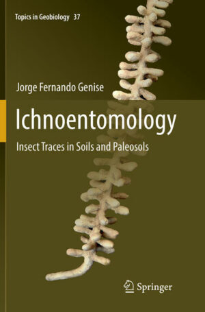 Honighäuschen (Bonn) - This book is devoted to the ichnology of insects, and associated trace fossils, in soils and paleosols. The traces described here, mostly nests and pupation chambers, include one of the most complex architectures produced by animals. Chapters explore the walls, shapes and fillings of trace fossils followed by their classifications and ichnotaxonomy. Detailed descriptions and interpretations for different groups of insects like bees, ants, termites, dung beetles and wasps are also provided. Chapters also highlight the the paleoenvironmental significance of insect trace fossils in paleosols for paleontological reconstructions, sedimentological interpretation, and ichnofabrics analysis. Readers will discover how insect trace fossils act as physical evidence for reconstructing the evolution of behavior, phylogenies, past geographical distributions, and to know how insects achieved some of the more complex architectures. The book will appeal to researchers and graduate students in ichnology, sedimentology, paleopedology, and entomology and readers interested in insect architecture.