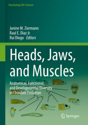 Honighäuschen (Bonn) - The vertebrate head is the most complex part of the animal body and its diversity in nature reflects a variety of life styles, feeding modes, and ecological adaptations. This book will take you on a journey to discover the origin and diversification of the head, which evolved from a seemingly headless chordate ancestor. Despite their structural diversity, heads develop in a highly conserved fashion in embryos. Major sensory organs like the eyes, ears, nose, and brain develop in close association with surrounding tissues such as bones, cartilages, muscles, nerves, and blood vessels. Ultimately, this integrated unit of tissues gives rise to the complex functionality of the musculoskeletal system as a result of sensory and neural feedback, most notably in the use of the vertebrate jaws, a major vertebrate innovation only lacking in hagfishes and lampreys. The cranium subsequently further diversified during the major transition from fishes living in an aquatic environment to tetrapods living mostly on land. In this book, experts will join forces to integrate, for the first time, state-of-the-art knowledge on the anatomy, development, function, diversity, and evolution of the head and jaws and their muscles within all major groups of extant vertebrates. Considerations about and comparisons with fossil taxa, including emblematic groups such as the dinosaurs, are also provided in this landmark book, which will be a leading reference for many years to come.