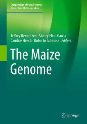 Honighäuschen (Bonn) - This book discusses advances in our understanding of the structure and function of the maize genome since publication of the original B73 reference genome in 2009, and the progress in translating this knowledge into basic biology and trait improvement. Maize is an extremely important crop, providing a large proportion of the worlds human caloric intake and animal feed, and serving as a model species for basic and applied research. The exceptionally high level of genetic diversity within maize presents opportunities and challenges in all aspects of maize genetics, from sequencing and genotyping to linking genotypes to phenotypes. Topics covered in this timely book range from (i) genome sequencing and genotyping techniques, (ii) genome features such as centromeres and epigenetic regulation, (iii) tools and resources available for trait genomics, to (iv) applications of allele mining and genomics-assisted breeding. This book is a valuable resource for researchers and students interested in maize genetics and genomics.