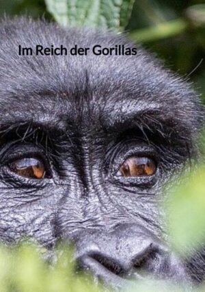 Im Reich der Gorillas: Eine Expedition in die Wildnis | Mo Tilmann