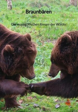 Braunbären - Die majestätischen Riesen der Wälder | Marco Zimmer