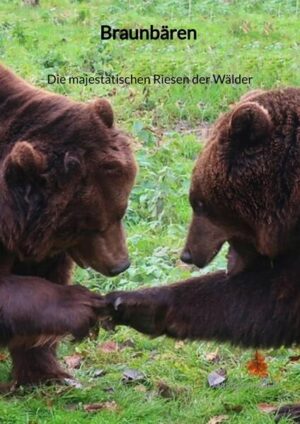 Braunbären - Die majestätischen Riesen der Wälder | Marco Zimmer