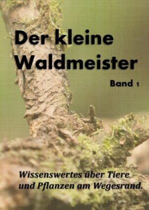 Der kleine Waldmeister: Wissenswertes über Tiere und Pflanzen am Wegesrand | Daniel Bächer