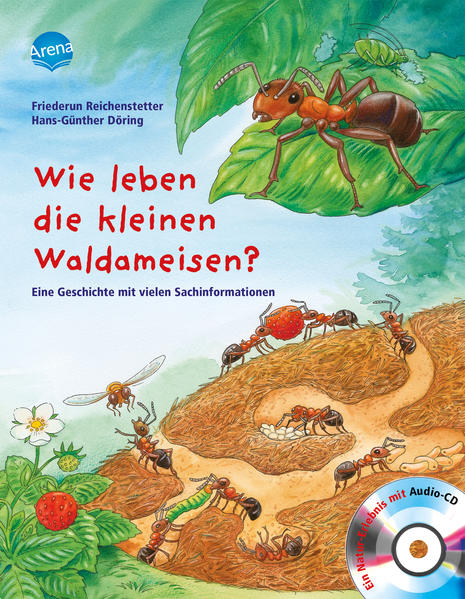 Honighäuschen (Bonn) - Das Leben im Ameisenhügel ist spannend und gut organisiert. Denn jede Ameise hat ihre Aufgabe. Womit ist die Arbeiterin beschäftigt? Was tut die Ameisenkönigin den ganzen Tag? Und was hat es mit dem faulen Käfer auf sich, der die Ameisen mit einem Trick überlistet? Hier gibt es nicht nur wichtige Fakten über das Zusammenleben der faszinierenden Tiere, sondern auch so manch Erstaunliches.