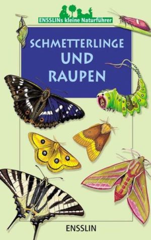Honighäuschen (Bonn) - Mit diesem Band und seinen klaren Illustrationen lernen Kinder schnell, die gängigsten Tag- und Nachtfalterarten und ihre Raupen zu erkennen und voneinander zu unterscheiden