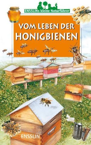 Honighäuschen (Bonn) - Bienen sind ein faszinierendes Volk! Die Königin legt die Eier, Arbeiterinnen umsorgen sie und die Brut. Und schließlich stellen Bienen den Honig her, den wir Menschen nutzen. Alles über Bienenhaltung und Imkerei findet der junge Leser in diesem informativen Büchlein.