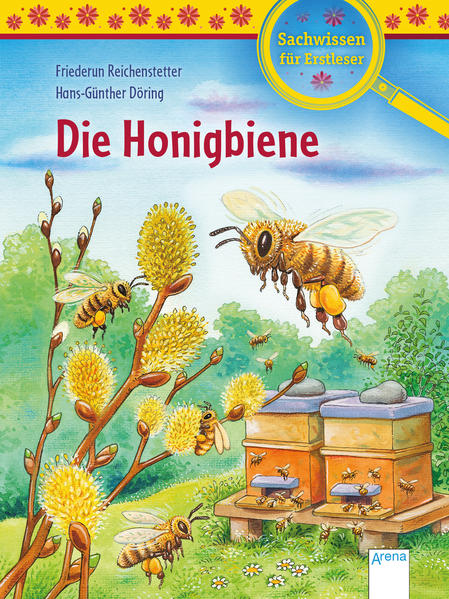 Honighäuschen (Bonn) - Wer sammelt den ganzen Sommer lang Nektar, ist braungelb gestreift und summt? Das ist doch klar - die Biene! Doch wo lebt die Honigbiene? Was macht sie mit dem Nektar? Und wieso ist in gefahr? Spannendes und Wissenswertes rund um die fleißigen Insekten und ihren Lebensraum