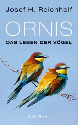 Honighäuschen (Bonn) - Ornis meint die Vogelwelt, aber auch "die Ornis" selbst, die Ornithologen. Einige wenige, die als Ornis beginnen, schaffen es sogar, ihr Hobby zum Beruf zu machen - wie der Autor. Mit 13 Jahren fing er sein erstes ornithologisches Notizbuch an. Ornis vermittelt seine ungebrochene Begeisterung für die Vögel. Er zeigt darin, was sie sind und warum sie so erfolgreich wurden. Aber auch, wo die Probleme liegen - bei uns und global. Ornis ist ein Buch über Vögel und Menschen und über die Zukunft der Vögel. Was macht Vögel so faszinierend? Was sie können, das schaffen oder übertreffen wir nur mit aufwändigen technischen Hilfsmitteln. Manche Vögel prunken in schönstem Gefieder, andere singen phantastisch. Viele zieht es in die Großstädte. Die Vögel begeistern uns. Als Amateur-Ornithologen betätigten sich sogar Prominente: Amerikanische Präsidenten und Kaiserliche Hoheiten, aber auch James Bond. Ornithologen dringen in die letzten unerforschten Winkel der Erde vor. Ein unstillbarer Drang zieht sie hinaus, um wann immer es geht, bei jedem Wetter, Vögel zu beobachten. Sie jagen nach Seltenheiten, üben sich in schwierigsten Ferndiagnosen und wissen oft besser Bescheid über die Vorgänge in der Natur als die dafür zuständigen Behörden. Denn die Vögel zeigen mit ihren Vorkommen, ihrer Häufigkeit und Änderungen in ihren Verbreitungsmustern höchst zuverlässig an, was in unserer Umwelt geschieht.