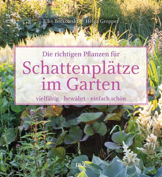 Honighäuschen (Bonn) - Schattenbereiche schön bepflanzt Schattige Bereiche im Garten hat eigentlich jeder Gartenbesitzer