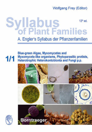 Honighäuschen (Bonn) - Part 1/1 of Engler's Syllabus of Plant Families - Blue-green Algae, Myxomycetes and Myxomycete-like organisms, Phytoparasitic protists, Heterotrophic Hetero -kontobionta and Fungi p.p. provides a thorough treatment of the world-wide morphological and molecular diversity of the Cyanoprokaryota, Acrasia and Eumycetozoa, Phytomyxea, the heterotrophic Heterokontobionta (Labyrinthulomycota, Oomycota), and the lower fungi (Chytridiomycota, Zygomycota and Glomeromycota). Recent DNA sequence data and advances in phylogenetic analysis brought tremendous changes to the interpretation of evolutionary relationships in every taxonomic rank, even in these lowermost plant groups, although their origin is still highly disputed. The authors followed the tradition of A. Engler with morphological-anatomical data, but are additionally incorporating the latest results from molecular phylogenies. This up-to-date overview of the Cyanoprokaryota, Acrasia, Eumycetozoa, Phytomyxea, Labyrinthulomycota, Oomycota, Chytridiomycota, Zygomycota and Glomeromycota will be a useful reference for a long time to come. Engler's Syllabus of Plant Families has since its first publication in 1887 aimed to provide both the researcher, and particularly the student with a concise survey of the plant kingdom as a whole, presenting all higher systematic units right down to families and genera of plants and fungi. In 1964, more than 45 years ago, the 12th edition of the well-known "Syllabus der Pflanzenfamilien" ("Syllabus of Plant Families"), set a standard. Now, the completely restructured and revised 13th edition of Engler's Syllabus published in 5 parts and in English language for the first time also considers molecular data, which have only recently become available in order to provide an up-to-date evolutionary and systematic overview of the plant groups treated. In our "molecular times" there is a vitally important and growing need to preserve the knowledge of the entire range of diversity and biology of organisms for coming generations, as there is a decline in "classical" morphological and taxonomical expertise, especially for less popular (showy) groups of organisms. Accordingly, the 13th edition of Syllabus of Plant Families synthesizes both modern data and classical expertise, serving to educate future experts who will maintain our knowledge of the full range of Earth's biodiversity. Syllabus of Plant Families is a mandatory reference for students, experts and researchers from all fields of biological sciences, particularly botany.