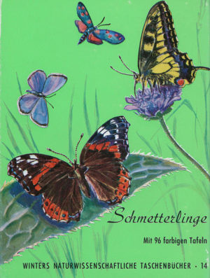 Schmetterlinge | Honighäuschen