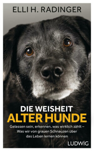 Honighäuschen (Bonn) - Das neue Buch der Spiegel-Bestsellerautorin Hunde sind großartig  egal in welchem Alter! Das Leben mit einem alten Hund und die Begleitung in seinen letzten Jahren öffnen unsere Augen und unser Herz. Alte Hunde können uns viel beibringen: Nimm jeden Tag als Geschenk