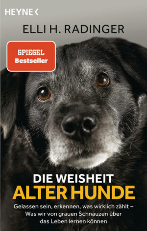 Honighäuschen (Bonn) - Der Bestseller jetzt als Taschenbuch Hunde sind großartig  egal in welchem Alter! Das Leben mit einem alten Hund und die Begleitung in seinen letzten Jahren öffnen unsere Augen und unser Herz. Alte Hunde können uns viel beibringen: Nimm jeden Tag als Geschenk