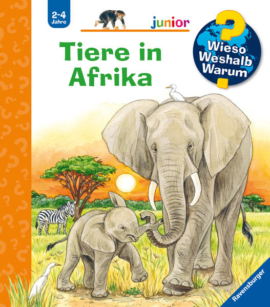 Honighäuschen (Bonn) - In diesem Buch ist tierisch was los: Wie trinkt eine Giraffe? Was kann der Elefant alles mit seinem Rüssel anstellen? Wie spielen Affen- und Löwenkinder? Und wo wohnen die Erdmännchen? Dank lustiger Klappen tauchen Kinder in die afrikanische Wildnis ein. Dabei beobachten sie ihre Lieblingstiere, die sie sonst nur aus dem Zoo kennen, in ihrem heimischen Lebensraum beim Fressen, Baden und Spielen. Ein lustiges Tier-Suchspiel verrät den Kindern zudem, was die Tiere Afrikas bei Nacht machen. Wieso? Weshalb? Warum? junior Die Sachbuchreihe für Kinder von 24 Jahren Jeden Tag entdecken Kinder etwas Neues  und haben viele Fragen. Wann kommt die Feuerwehr? Was machen die Tiere im Winter? Warum muss ich Zähne putzen? Die beliebte Sachbuchreihe Wieso? Weshalb? Warum? junior beantwortet die Fragen der Kinder auf Augenhöhe. Sie beleuchtet unterschiedlichste Themen aus ihrer Alltags- und Interessenswelt altersgerecht und mit viel Liebe zum Detail. Die ist speziell auf kleine Hände und die Bedürfnisse der Kleinsten angepasst. Klare und liebevolle Bilder, kurze Sachtexte sowie handliche Klappen, die Bewegungen veranschaulichen und überraschende und lustige Einblicke gewähren, ermöglichen Kindern, sich ihre Themen selbst zu erschließen. Der Spaß am eigenhändigen Entdecken, die liebevolle Umsetzung und die hochwertige Ausstattung garantieren langanhaltende Freude an jedem Buch.