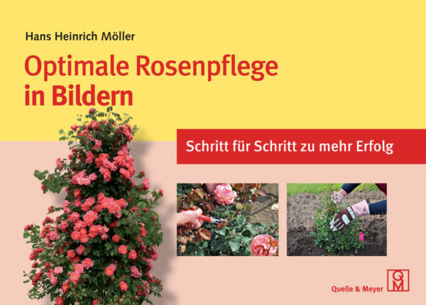 Honighäuschen (Bonn) - Kulturrosen sind eine Zierde für jeden Garten. Hans Heinrich Möller führt Sie in diesem reich bebilderten Praxisbuch von der Idee zu einem schönen und gesunden Rosenbeet. Nach einer kurzen Einführung in die Geschichte der Königin der Blumen beginnt er mit dem richtigen Boden und seiner Vorbereitung und stellt die verschiedenen Sortengruppen vor. Sehr ausführlich beschreibt er die Pflanzung und den Schnitt, die für den Wuchserfolg ausschlaggebend sind. Wertvolle Anleitungen zu Pflanzenschutz, Düngung, Überwinterung und Vermehrung klären über mögliche Fehler und Gefahren auf. Abgerundet wird dieses handliche Buch mit ausgewählten Porträts von empfehlenswerten Sorten und einem Terminkalender für alle Pflegemaßnahmen.