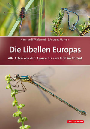 Die Libellen Europas | Honighäuschen