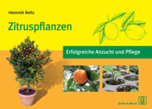Honighäuschen (Bonn) - Zitruspflanzen sind die wohl edelsten Nutzpflanzen in unseren Gärten. Der Geschmack frischer, selbst angebauter Mandarinen oder Orangen ist ein unvergleichlicher Genuss und auch als Zierpflanzen in Töpfen verschönern sie Haus und Garten. Mit den praxisnahen und einfach durchzuführenden Pflanz- und Pflegeempfehlungen von Heinrich Beltz werden sich Zitrone, Limette, Kumquat und Co. prächtig entwickeln und Ihnen lange Zeit Freude bereiten. Der erfahrene Pflanzenkenner stellt die wichtigsten Arten und Sorten mit ihren Besonderheiten und unterschiedlichen Ansprüchen vor. Er gibt wertvolle Tipps zum Substrat, zum Umtopfen, zur Vermehrung sowie zum Pflanzenschutz und vor allem zum Überwintern, damit die sensiblen Lieblinge optimal durch die kalte Jahreszeit kommen. Ein Pflegekalender, der als praktische Übersicht für alle anstehenden Maßnahmen dient, rundet das Praxisbuch ab. Mit diesem Wissen können Zitruspflanzen auch in unseren Breiten dauerhaft kultiviert und reiche Fruchterträge erzielt werden.