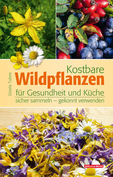 Honighäuschen (Bonn) - Dieses praktische Buch führt Sie zu jeder Jahreszeit zu den köstlichsten und gesundesten Wildpflanzen, die uns die Natur zu bieten hat! Sortiert nach den Lebensräumen Wegrand, Wiese/Weide, Hecke/Waldrand/Gebüsch, Brach- und Ruderalfläche, Wald, Bach/Graben und Garten stellt die Autorin über 70 Wildpflanzen ausführlich und mit brillanten Bildern illustriert vor. Von den Portraits ausgehend, erfolgt eine Verzweigung zu den vielfältigsten Verwendungsmöglichkeiten, u. a. zu vielen leckeren Rezepten und zahlreichen Anwendungsbeispielen für Küche und Gesundheit. Hilfreiche Tipps zum Sammeln, Trocknen und Konservieren sowie ein nützlicher Kalender mit idealen Sammelzeiten runden dieses handliche und bewährte Praxisbuch ab.