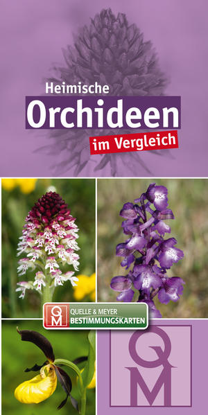 Heimische Orchideen im Vergleich: 10er-Set |