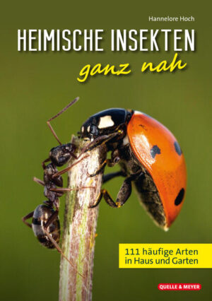 Heimische Insekten ganz nah: 111 häufige Arten in Haus und Garten | Hannelore Hoch