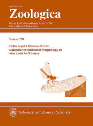 Honighäuschen (Bonn) - The authors present a thorough study on the distribution of resilin-bearing wing vein joints in wings of Odonata. 22 species of 20 different families of dragonflies and damselflies, showing various wing morphologies and flight kinematics, are examined and reveal interesting evolutionary trends. Dragonflies and damselflies show an exceptional high lift production and are some of the most maneuverable flying insects. The important role of their corrugated wing profile in increasing lift production has been shown in various studies. As odonate wings lack internal muscles, their aerodynamic performance relies on passive deformations, such as pleat angle widening and camber formation. The rubber-like protein resilin has been shown to play a crucial role in wing joint flexibility. Thus, it may be assumed that the specific distribution of either stiff or flexible, resilin-bearing vein joints may influence the overall wing deformation during flight. Using fluorescence light microscopy and scanning electron microscopy, the dorsal and ventral wing sides of different species are compared with respect to the distribution patterns of four types of vein joints, five types of resilin patches, and joint-associated spines. The results reveal a significant difference between dragonflies and damselflies. Variations of the distribution patterns suggest a classification into five different pattern groups. Their occurrence within the two suborders shows some evolutionary trends and gives insight into the wing functionality. In particular, we discussed how the combination of joint morphology, kinematics, and wing morphology may allow different passive wing deformations during flight. This study, generously illustrated with 53 mostly coloured figures is of great interest to biologists studying insect flight, functional morphology, and evolution of Odonata. Furthermore, the described distribution patterns of different vein joints in combination with wing shape and flight kinematics may possibly inspire their biomimetic imitation in micro air vehicles (MAV).