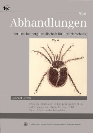 Honighäuschen (Bonn) - The European species of the genus Lebertia Neuman, 1880 are revised based on a study of available types and additional material from museum collections and recent field work, mostly done in the southern part of the continent. The taxonomic significance of all morphological character states considered as diagnostic by former authors is reevaluated in light of a detailed analysis of the variability of these characters in L. fimbriata. The subgenus Mixolebertia is redefined, the subgenus Pseudolebertia is synonymized with Lebertia sensu strictu. The synonymy of Hexalebertia with Mixolebertia, proposed by previous authors but not generally accepted is confirmed. Eolebertia nov. subgen. is proposed in order to accommodate L. elsteri and a species new to science. Descriptions and diagnoses are provided for all recognized species. Neotypes are designated for two species (L. fimbriata and L. brevipora) and lectotypes for 16 species (L. apposita, L. bracteata, L. bisbisetosa, L. crenophila, L. dalmatica, L. hispanica, L. holsatica, L. jadrensis, L. longipalpis, L maculosa, L. purpurea, L. rivulorum, L. schechteli, L. semireticulata, L. silesiaca and L. subtilis). Four subspecies are elevated to species rank (with their former stem species in parentheses): L. reticulata Koenike, 1912 (rufipes)