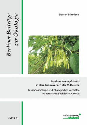 Fraxinus pennsylvanica in den Auenwäldern der Mittelelbe: Invasionsbiologie und ökologisches Verhalten im naturschutzfachlichen Kontext | Doreen Schmiedel