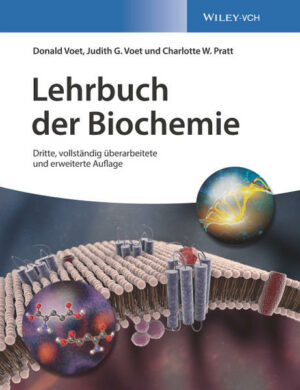 Honighäuschen (Bonn) - Mit erweiterten Lernhilfen vermittelt auch die dritte Auflage des "Voet" die unverzichtbaren Grundlagen und zentralen Themen der Biochemie. Die chemische Perspektive wird ergänzt durch wichtige Anwendungen aus Biotechnologie, Medizin und Pharmazie.
