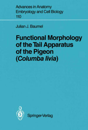 Honighäuschen (Bonn) - This volume provides a comprehensive, highly detailed topographical description of the entire tail apparatus of the pigeon including a functional analysis of the movements of the entire tail and its appendages, namely the flight feathers. The manner in which the flight feathers are incorporated into the uropygium has never before been so carefully studied. Foremost among the features of the tail described here for the first time is the bulb of the rectrices. The topographic relationships of the bulb, its external and internal architecture, the attachments and arrangements of its flight feathers, and its socket are described. Also included are accounts of the components of the tail, its skeleton, joints, intrinsic and extrinsic musculature, vasculature, and innervation. There is an analysis of the movements of the entire tail and its various elements, as well as a discussion of the topographic and functional relationships of the tail and cloaca, of the neural control of the tail and of its functions in flight, braking and balance. A preliminary comparative survey of the tail apparatus in representatives of several avian orders has been made. Finally, the unexpected influence of the tail apparatus in visceral functions such as defecation, respiration and vocalization is considered.