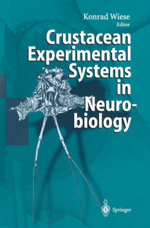 Honighäuschen (Bonn) - This book represents Part 2 of a venture started by distinguished neuroscientists to visualize and advertise the experimentally advantageous preparations of the crustacean nervous system. The advantage is a combination of ease of dissection of key structures and the possibility of repeatedly accessing identified individual cells to measure the detailed response of the system to the experimentally imposed stimulus program. Of course, the neurosciences have to focus their research on the nervous system of mammals and man in order to understand the principles of function and their regulation if malfunctions occur. This is in line with efforts to investigate nervous systems throughout the animal kingdom. The specific potential of the encountered systems for exploratory research into hitherto unexplained functions of the brain may very well be a key to new insights. The simply organized nervous system of crustaceans performs tasks of vital importance imposed on the organism. Hence this system consists of a complete set of neural circuitry open for inspection and measurement by systematic investigation. The first volume, The Crustacean Nervous System, contains exhaustive reports on experimental work from all sectors of neuroscience using crayfish and lobsters. This second volume, Crustacean Experimental Systems in Neurobiology", contains excellent reviews on significant topics in neurobiology. Each section is introduced by short texts written by the section editors of the Crustacean Nervous System. More, prominent authors explain their approach to understanding the brain using a selection of experiments involving visual orientation, neuromuscular systems and identification of principles of neural processing.