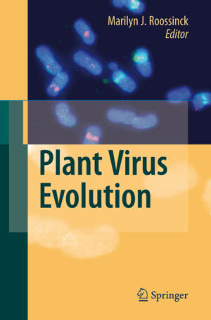 Honighäuschen (Bonn) - This book provides a comprehensive look at the field of plant virus evolution. It is the first book ever published on the topic. Individual chapters, written by experts in the field, cover plant virus ecology, emerging viruses, plant viruses that integrate into the host genome, population biology, evolutionary mechanisms and appropriate methods for analysis. It covers RNA viruses, DNA viruses, pararetroviruses and viroids, and presents a number of thought-provoking ideas.