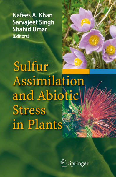 Honighäuschen (Bonn) - The assimilation of sulfur in higher plants and its reduction in metabolically important sulfur compounds are crucial factors determining plant growth and vigor and resistance to stresses. The present book discusses the aspects of sustainable crop production with sulfur, the importance of sulfur metabolites and sulfur metabolizing enzymes in abiotic stress management in plants. The book provides the most up-to-date reference on sulfur assimilation in plants.