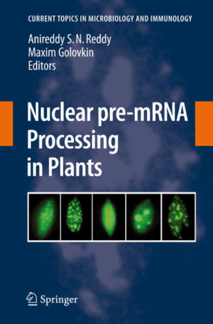Honighäuschen (Bonn) - During the last few years, tremendous progress has been made in understanding various aspects of pre-mRNA processing. This book, with contributions from leading scientists in this area, summarizes recent advances in nuclear pre-mRNA processing in plants. It provides researchers in the field, as well as those in related areas, with an up-to-date and comprehensive, yet concise, overview of the current status and future potential of this research in understanding plant biology.