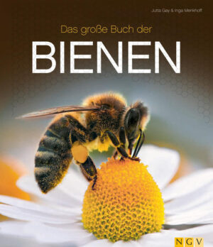 Honighäuschen (Bonn) - Der Erfolgstitel zum Thema Bienen ?Umfassend & brandaktuell: Einzigartiger Bildband voller wertvoller Informationen ? Faszinierend: Einblicke in die Welt unseres wertvollsten Insekts ? Prachtband: Spannende Lektüre mit 350 spektakulären Naturaufnahmen ? Neuausgabe: Auf wissenschaftlich aktuellem Stand 118 000 Imker betreuen 820 000 Bienenvölker in Deutschland - und es werden täglich mehr. Gleichzeitig ist unser wertvollstes Insekt aufgrund von Pestiziden und Monokultur gefährdeter als je zuvor. Längst hat ein alarmierendes Bienensterben eingesetzt. Gründe genug, die faszinierende Welt der Bienen einmal näher zu betrachten. Dieser prächtige Bildband gibt Einblicke in die spannendsten Themen: vom Aufbau und Alltag des Bienenstaates über die pflegende und heilende Wirkung des Honigs bis hin zu der enormen Bedeutung der Biene für Umwelt und Natur. Die über 350 eindrucksvollen Abbildungen zeigen die Biene und ihren Lebensraum aus nie gesehenen Perspektiven. Ebenso lädt die hochwertige Gestaltung zum Schwelgen ein. So schafft die Mischung aus Wissensvermittlung, unterhaltsamer Lektüre und spektakulärem Bildmaterial ein einzigartiges Buch zum Blättern und Eintauchen.
