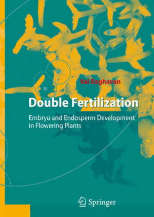 Honighäuschen (Bonn) - "Double Fertilization" provides a comprehensive overview of all aspects of this central event in the reproduction and development of flowering plants. Written by Val Raghavan, The Ohio State University, an acknowledged expert in plant developmental biology, the book vividly describes the molecular and cellular steps of the unique and complex fertilization process that culminates in the formation of embryo and endosperm, focusing on the latest results from the model plant Arabidopsis. The text is complemented by excellent illustrations, including 16 color plates. Since embryo and endosperm constitute the edible parts of many seeds and grains widely used in human and animal nutrition, an understanding of the fertilization process has great relevance for genetic engineering aimed at improving the nutritional quality of crop plants. This book is ideally suited to researchers and graduate students seeking a coherent view of current perspectives on embryogenesis and endosperm development in flowering plants.
