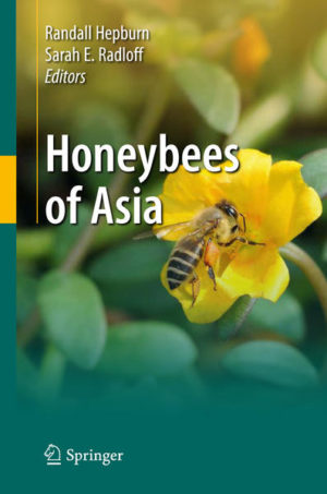 Honighäuschen (Bonn) - A multi-authored work on the basic biology of Asian honeybees, written by expert specialists in the field, this book highlights phylogeny, classification, mitochondrial and nuclear DNA, biogeography, genetics, physiology, pheromones, nesting, self-assembly processes, swarming, migration and absconding, reproduction, ecology, foraging and flight, dance languages, pollination, diseases/pests, colony defensiveness and natural enemies, honeybee mites, and interspecific interactions. Comprehensively covering the widely dispersed literature published in European as well as Asian-language journals and books, "Honeybees of Asia" provides an essential foundation for future research.