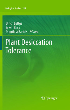 Honighäuschen (Bonn) - Desiccation tolerance was essential when plants first began to conquer land, roughly 400 million years ago. While most desiccation-tolerant plants belong to basal phylogenetic taxa, this capacity has also evolved among some vascular plant species.In this volume renowned experts treat plant desiccation tolerance at the organismic as well as at the cellular level. The diversity of ecophysiological adaptations and acclimations of cyanobacteria, eukaryotic algae, mosses, and lichens is addressed in several chapters. The particular problems of vascular plants during dehydration/rehydration cycles resulting not only from their hydraulic architectures, but also from severe secondary stresses associated with the desiccated state are discussed. Based on the treatment of desiccation tolerance at the organismic level, a second section of the book is devoted to the cell biological level. It delineates the general concepts of functional genomics, epigenetics, genetics, molecular biology and the sensing and signalling networks of systems biology involved in dehydration/rehydration cycles. This book provides an invaluable compilation of current knowledge, which is a prerequisite for a better understanding of plant desiccation tolerance in natural as well as agro- and forest ecosystems where water is one of the most essential resources.