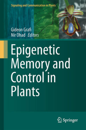 Honighäuschen (Bonn) - Epigenetics commonly acts at the chromatin level modulating its structure and consequently its function in gene expression and as such plays a critical role in plant response to internal and external cues. This book highlights recent advances in our understanding of epigenetic mechanisms as a major determinant through which internal and external signals, such as those occurring during hybridization, flowering time, reproduction and response to stress, communicate with plant cells to bring about activation of multiple nuclear processes and consequently plant growth and development. The outcome of these processes may persist for generations long after the initial cues have expired and may contribute to plant evolution.