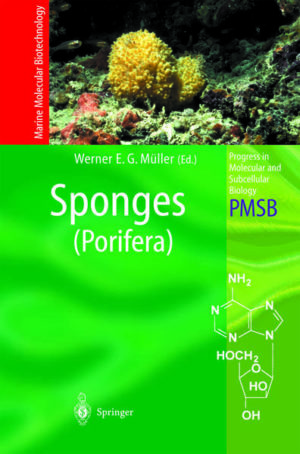 Honighäuschen (Bonn) - Sponges (phylum Porifera) are known to be very rich sources for bioactive compounds, mainly secondary metabolites. Main efforts are devoted to cell- and mariculture of sponges to assure a sustainable exploitation of bioactive compounds from biological starting material. These activities are flanked by improved technologies to cultivate bacteria and fungi which are associated with the sponges. It is the hope that by elucidating the strategies of interaction between microorganisms and their host (sponge), by modern cell and molecular biological methods, a more comprehensive cultivation of the symbiotic organisms will be possible. The next step in the transfer of knowledge to biotechnological applications is the isolation, characterization and structural determination of the bioactive compounds by sophisticated chemical approaches.